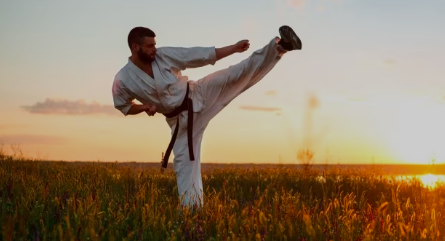 Martial Arts for Fitness and Self-Defense