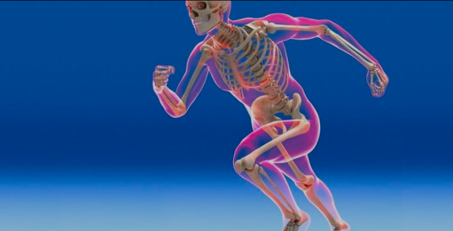 How to Strengthen Skeletal Structure