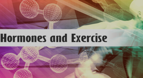 High Roles of Hormones in Exercise