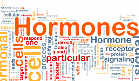 High effects of exercising for stronger hormones